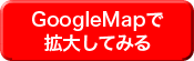 GoogleMapŊg債Ă݂